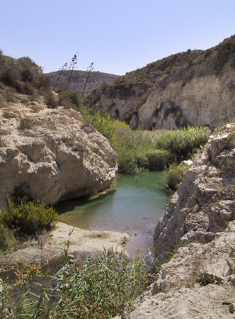 Río Alias, Sorbas © OM