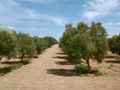 Andalucía © OM