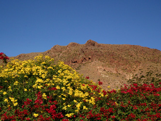 La Casa de La Buganvilla, affitare a CAbo di Gata © OM