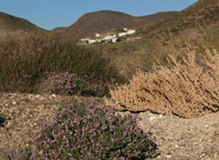 Las Presillas, Cabo de Gata © OM